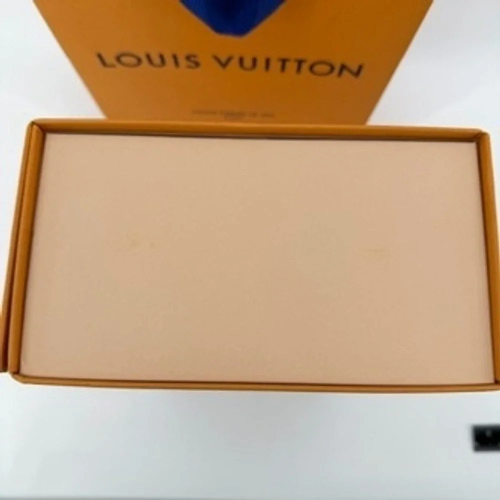 Louis Vuitton authentic louis